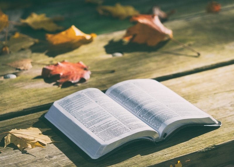 Ancient Book